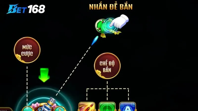 Theo dõi sát sao chu kỳ xuất hiện của cá Theo dõi sát sao chu kỳ xuất hiện của cá